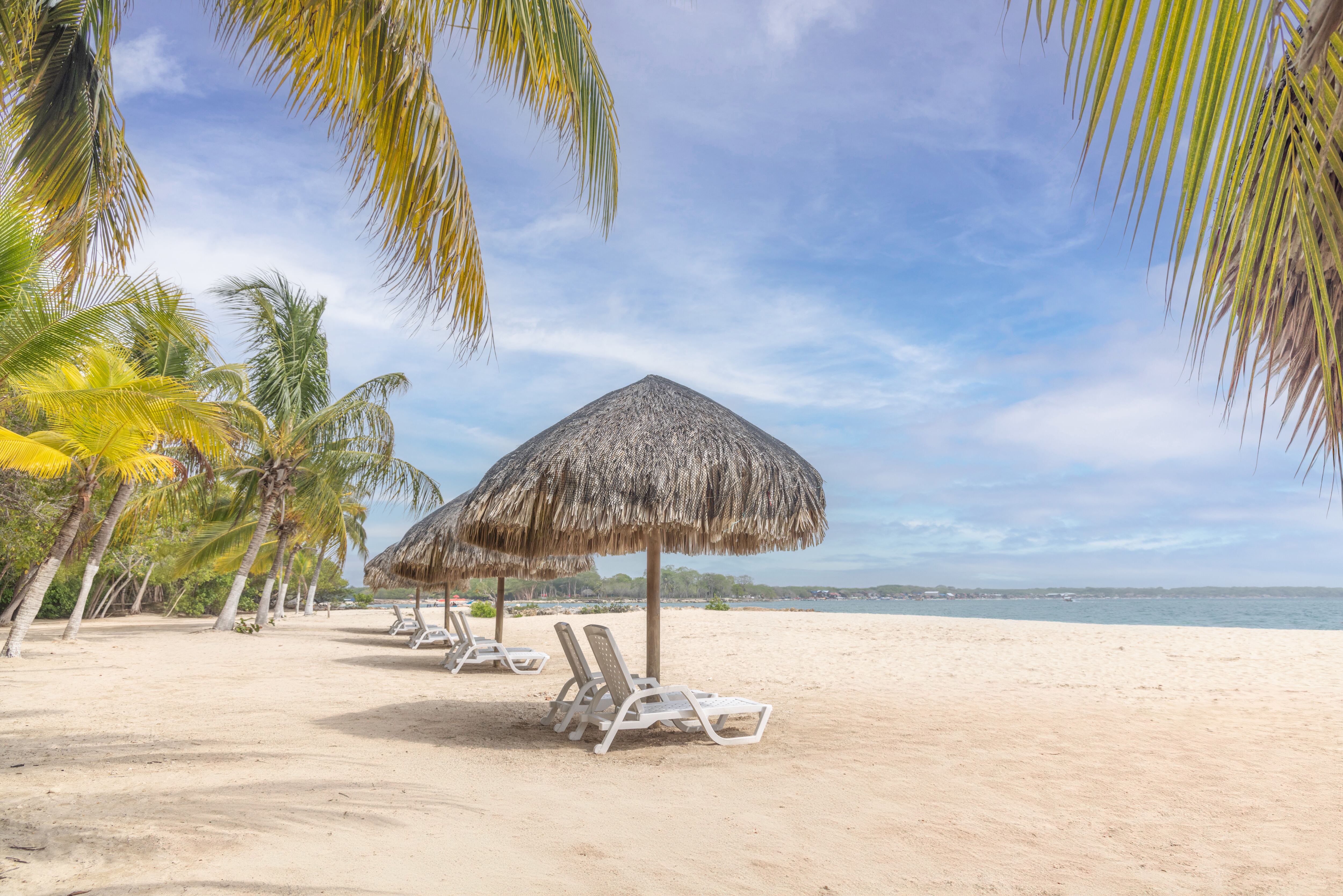 Cortesía: Decameron