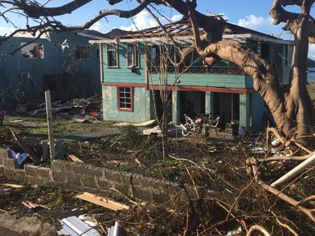 ¿Qué se estará preguntando Ibarra?