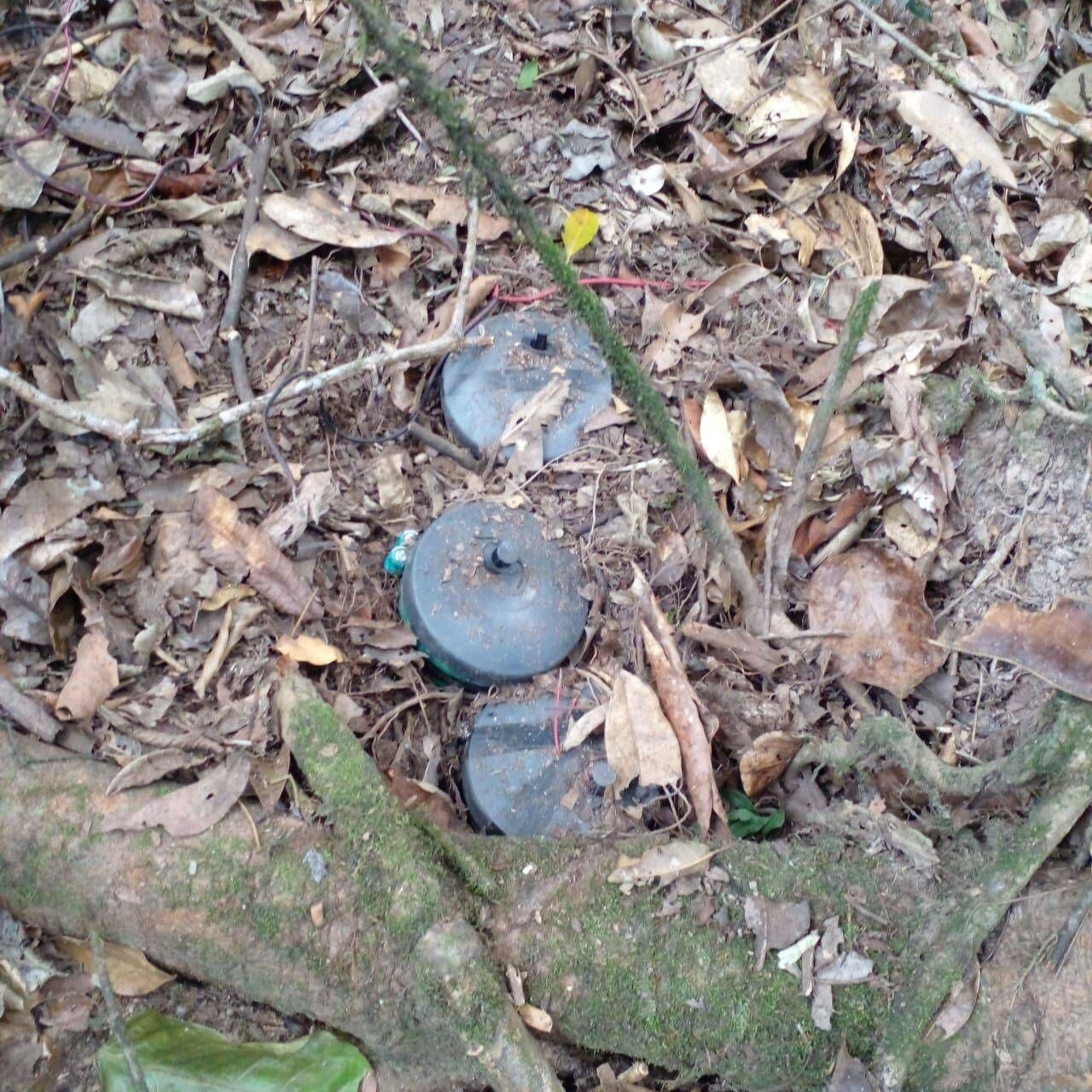 El suceso se registró cuando la víctima de 16 años caminaba por la vereda Versalles, corregimiento de La Planada de la localidad en mención. Crédito: Colprensa. 