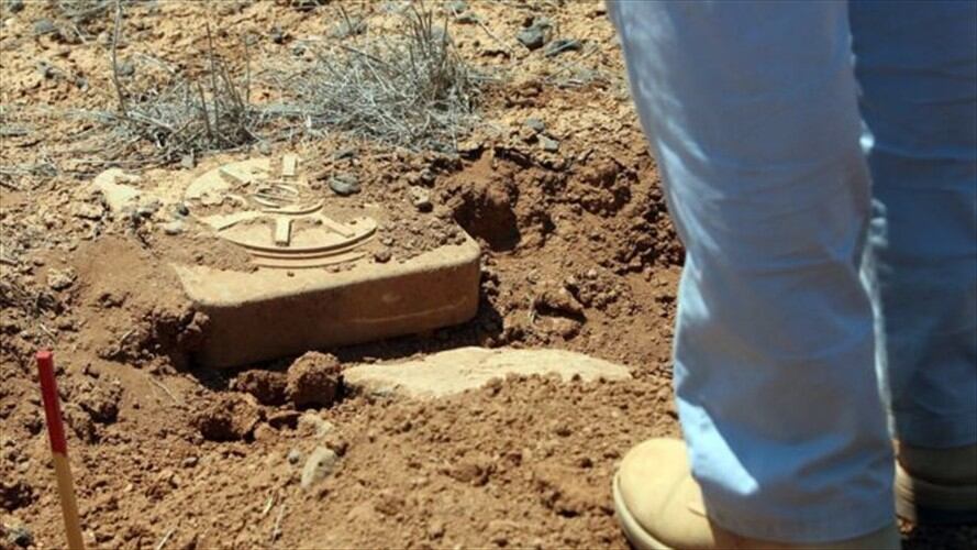 Las espinacas nanobiónicas pueden usarse para detectar minas antipersonales. Foto: Getty Images, tomada de BBC Mundo.