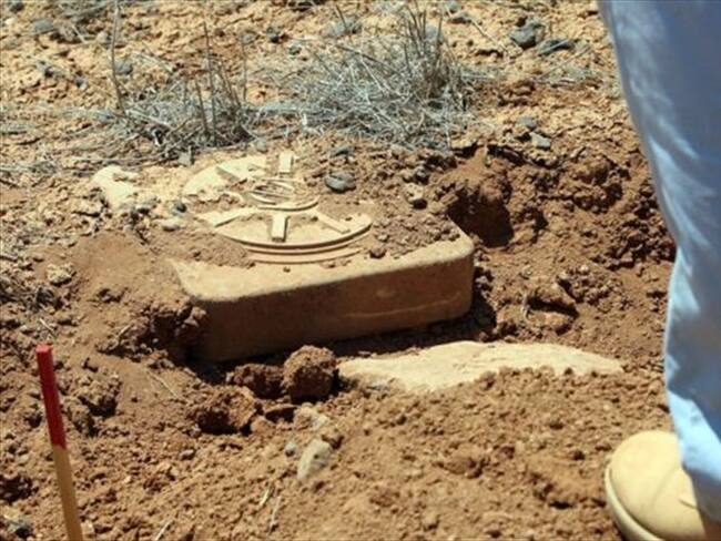 Las espinacas nanobiónicas pueden usarse para detectar minas antipersonales. Foto: Getty Images, tomada de BBC Mundo.