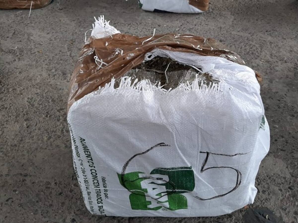Incautan más de una tonelada de marihuana en Caloto, Cauca