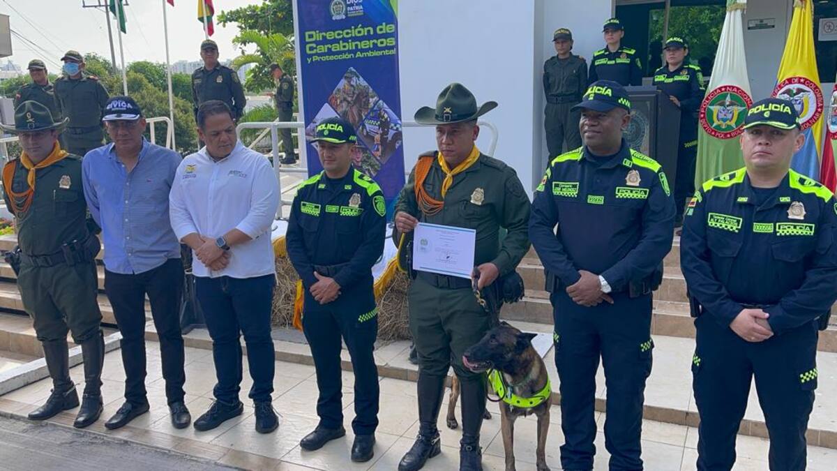 En Cartagena, Policía y gobernación respaldan impuesto de seguridad en factura de energía