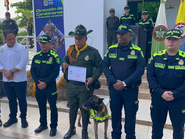 En Cartagena, Policía y gobernación respaldan impuesto de seguridad en factura de energía