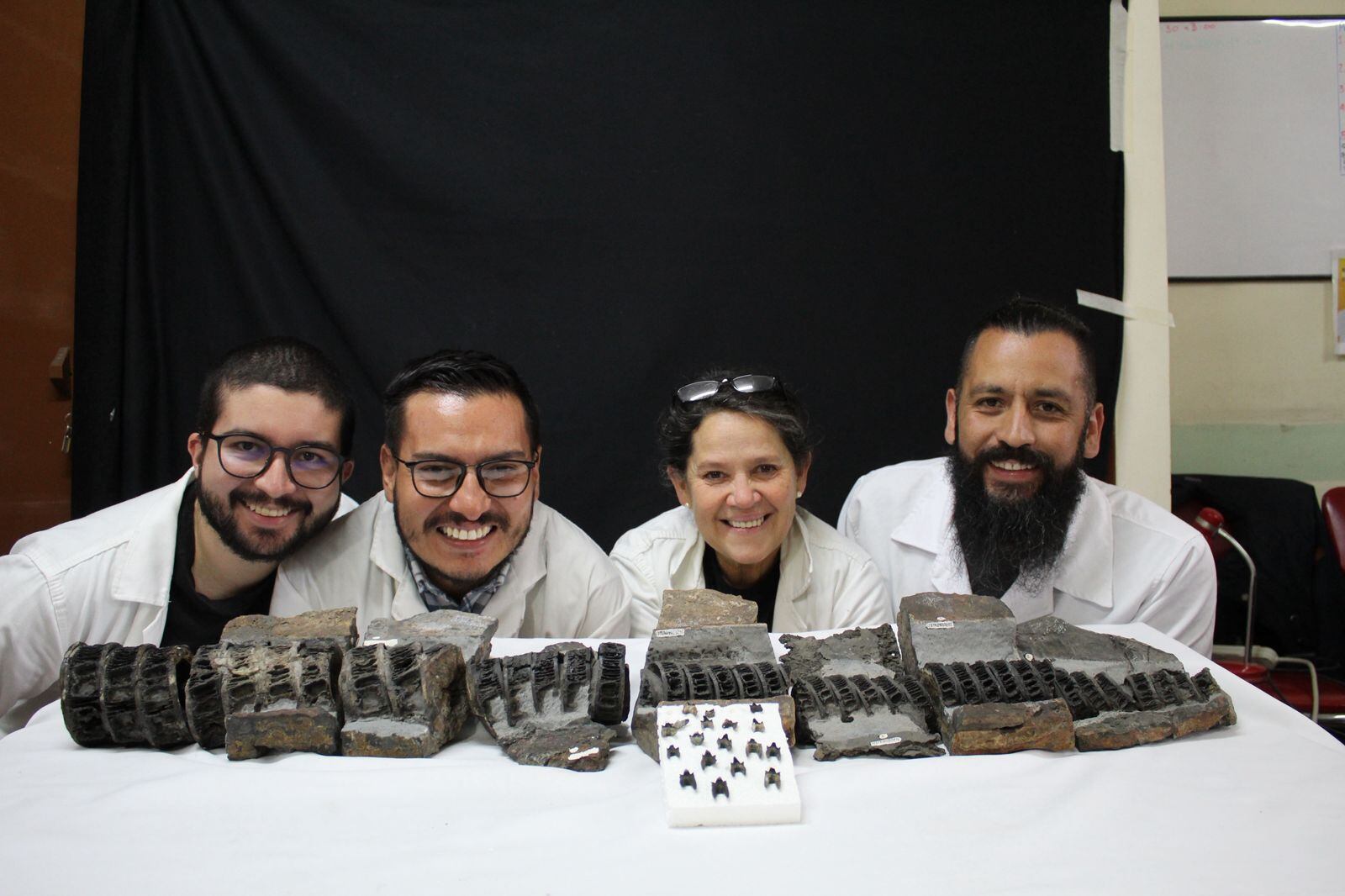 Fósil de tiburón gigante encontrado en Colombia es el más antiguo del mundo