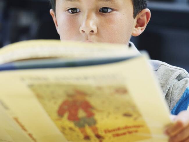 La decisión tuvo origen en una acción de cumplimiento que fue interpuesta ante el Tribunal Administrativo de Cundinamarca.. Foto: Getty Images