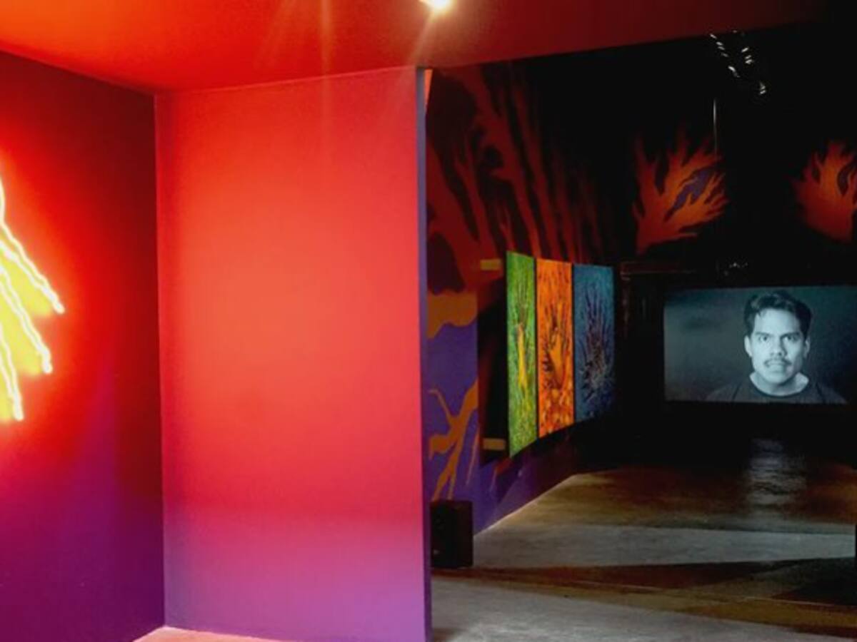 Del yajé al arte: Tahuanty Jacanamijoy habló de su obra ‘Las enseñanzas del niño tigre’