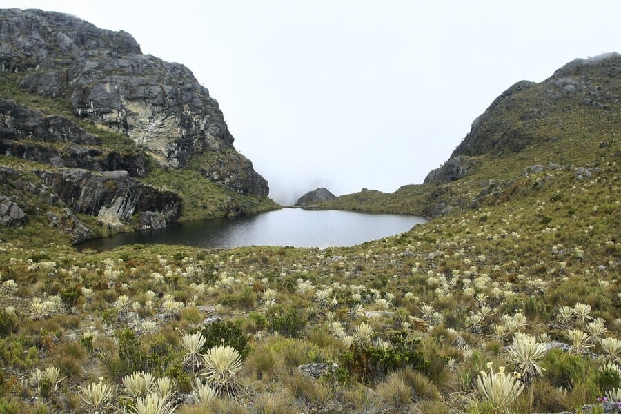 Páramo de Santurbán. Foto: Colprensa.