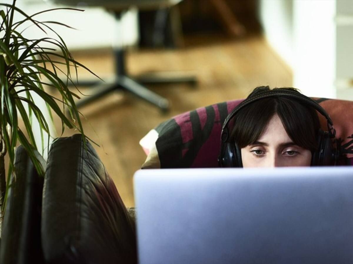 Estas son algunas de las películas que podrá ver en IndieBo 2020