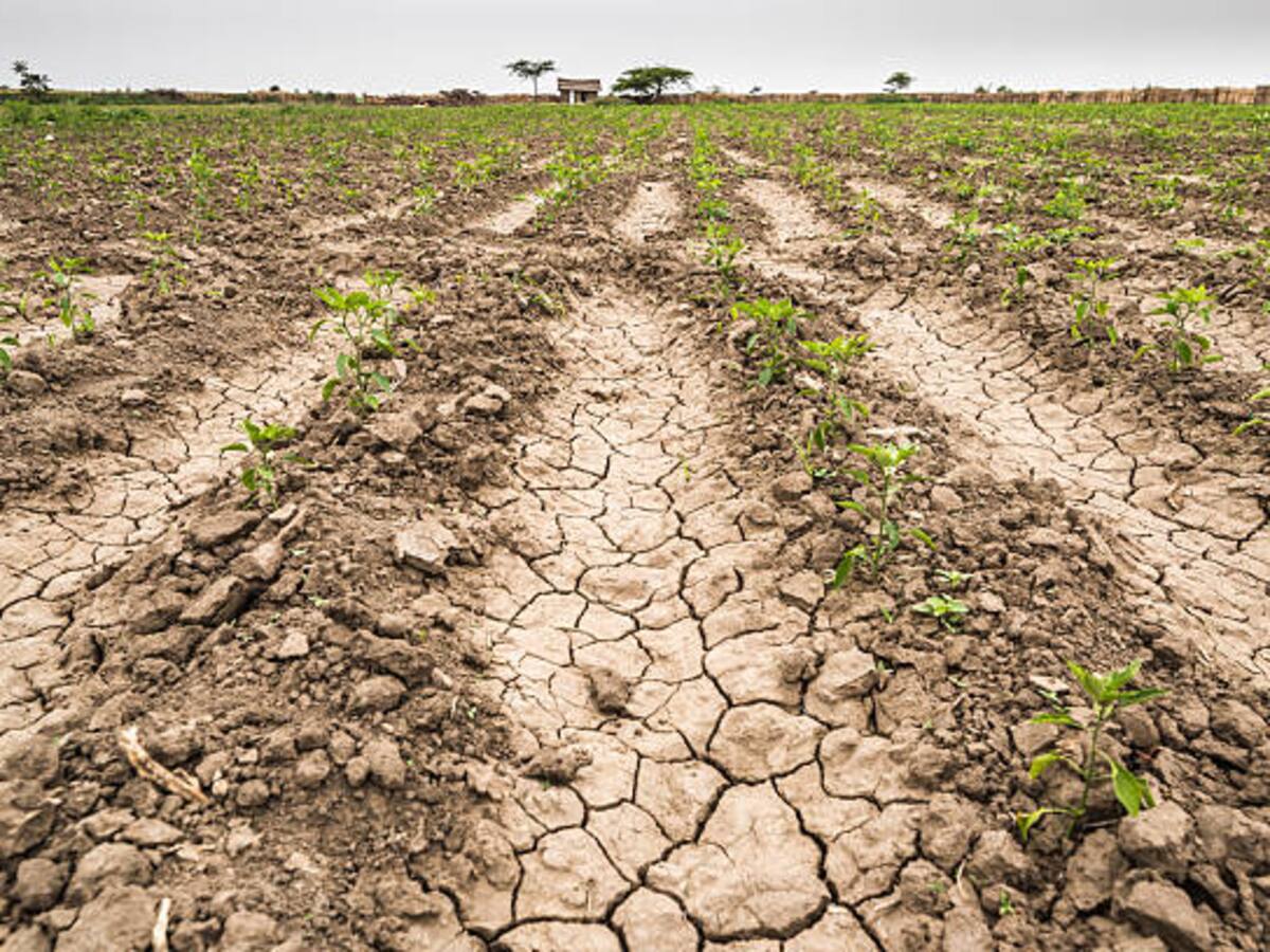 Ya son cuatro los municipios en calamidad pública por sequía en Córdoba