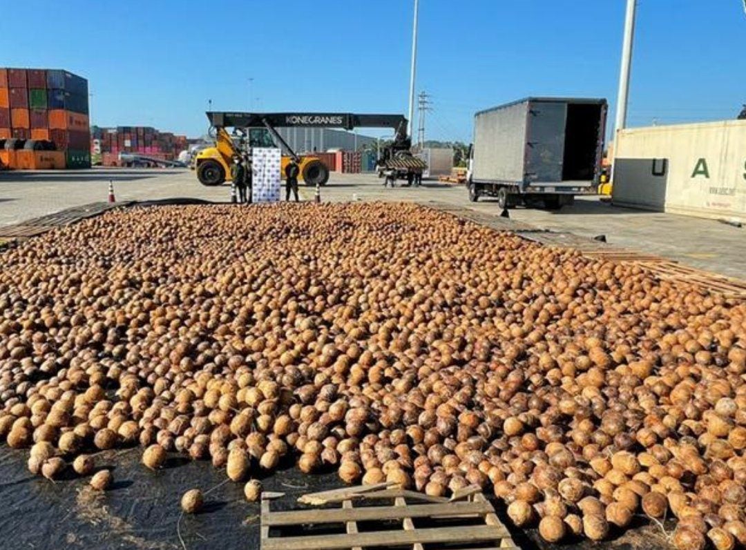 Las frutas contaminadas fueron decomisadas en un puerto de Cartagena. Crédito: Cortesía Fiscalía.