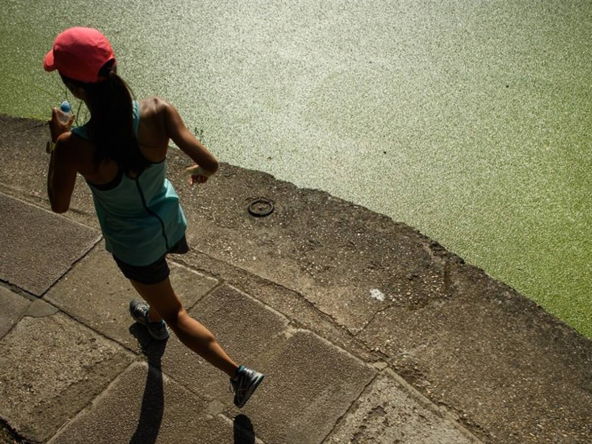 Los siete tips que usted necesita saber para empezar en la onda Fitness