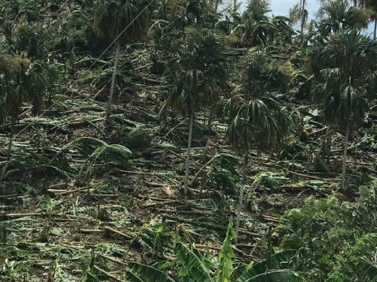 Autoridades declaran alerta roja en Córdoba por vendavales