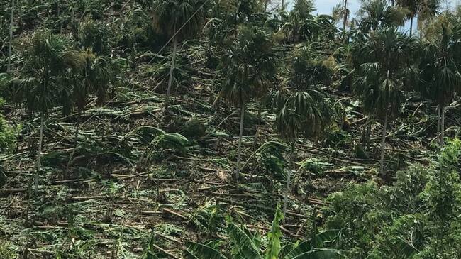 Autoridades declaran alerta roja en Córdoba por vendavales. Foto: Cortesía