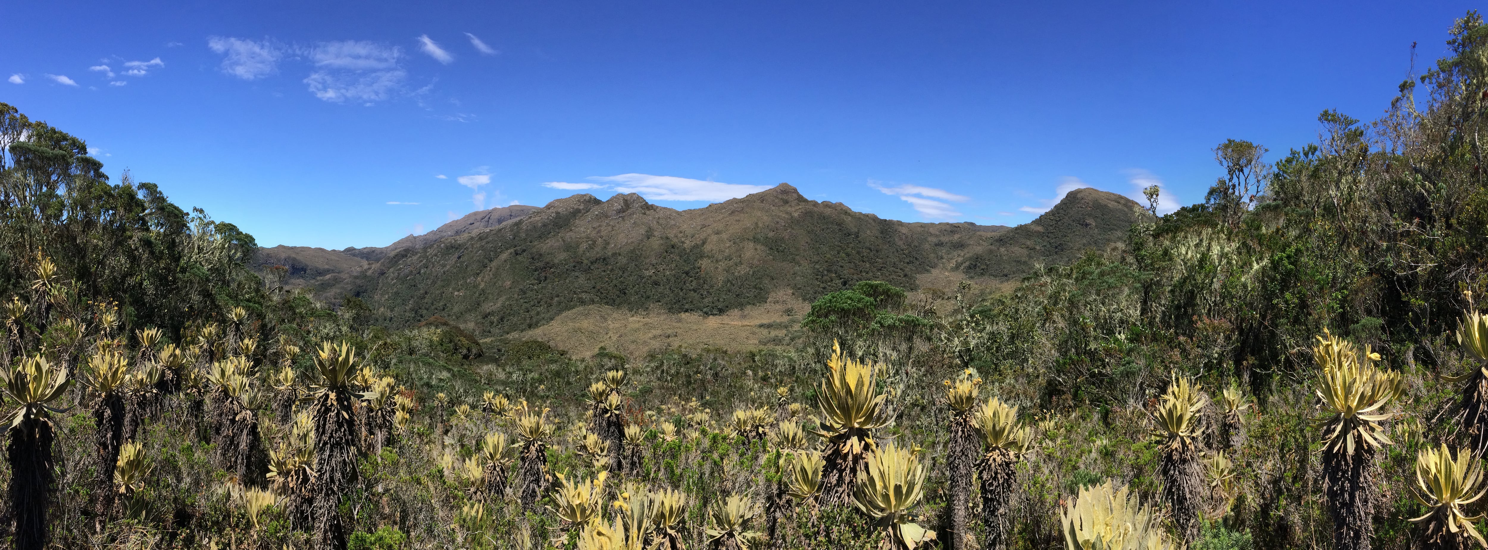 Imagen de referencia. Getty Images.