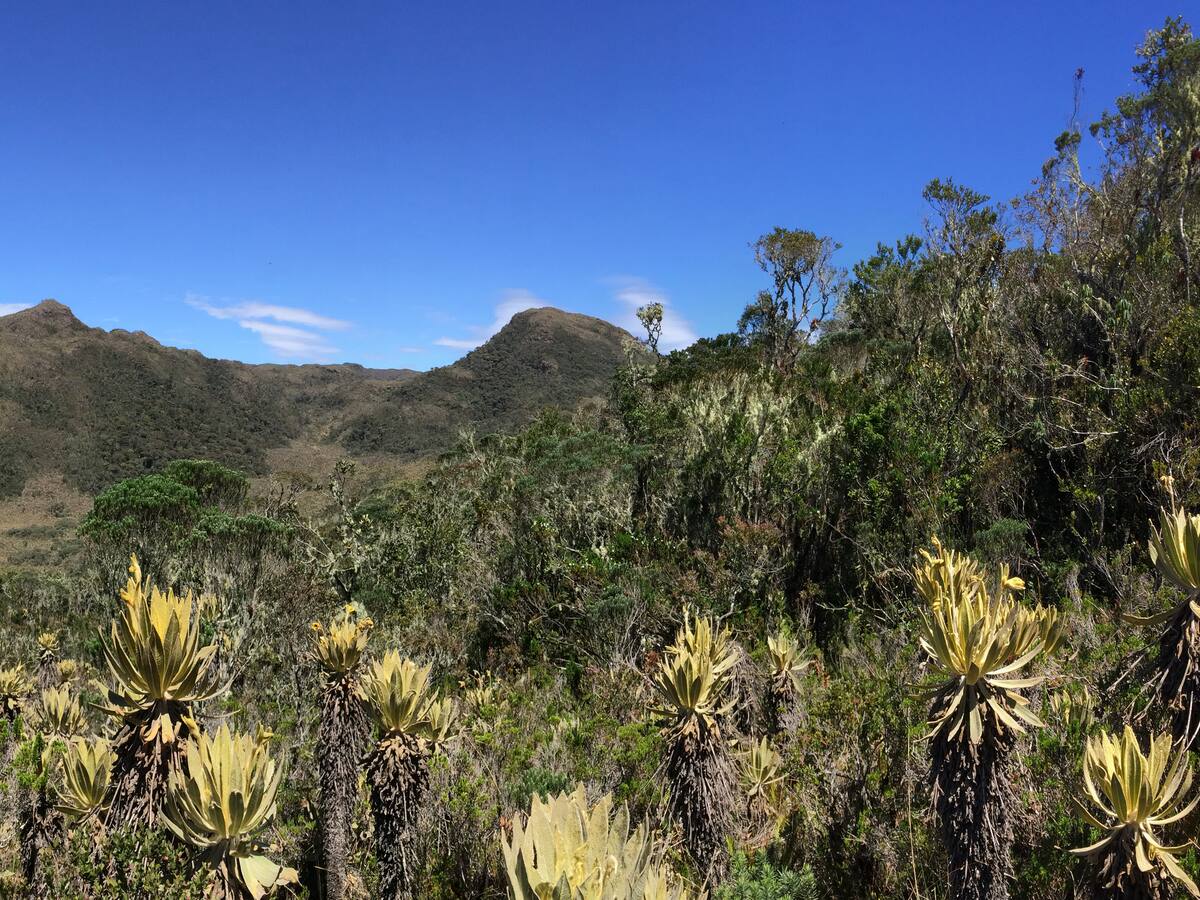 Municipio más alto de Colombia está a más de 3.000 metros de altura y supera a Bogotá: ¿Dónde está?