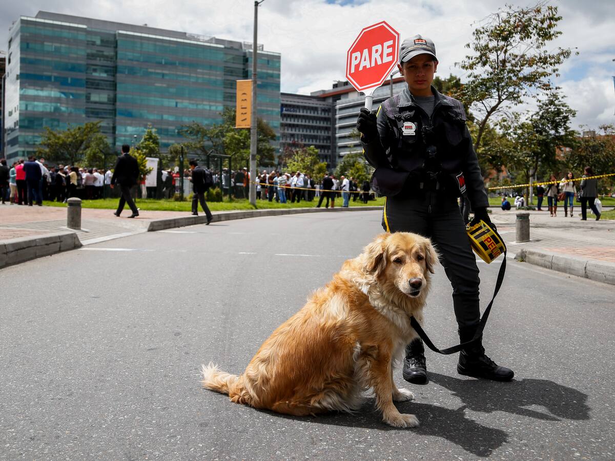 Uso de perros para seguridad y vigilancia empezaría a prohibirse en Colombia