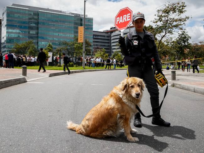 Imagen de referencia. Foto: (Colprensa – Mauricio Alvarado)
