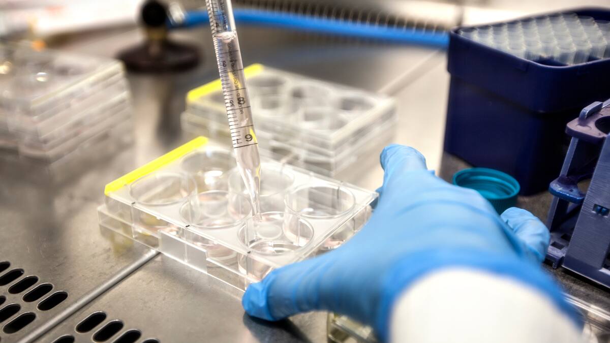 Organización de pacientes acusa al Gobierno de expropiar patente contra el VIH