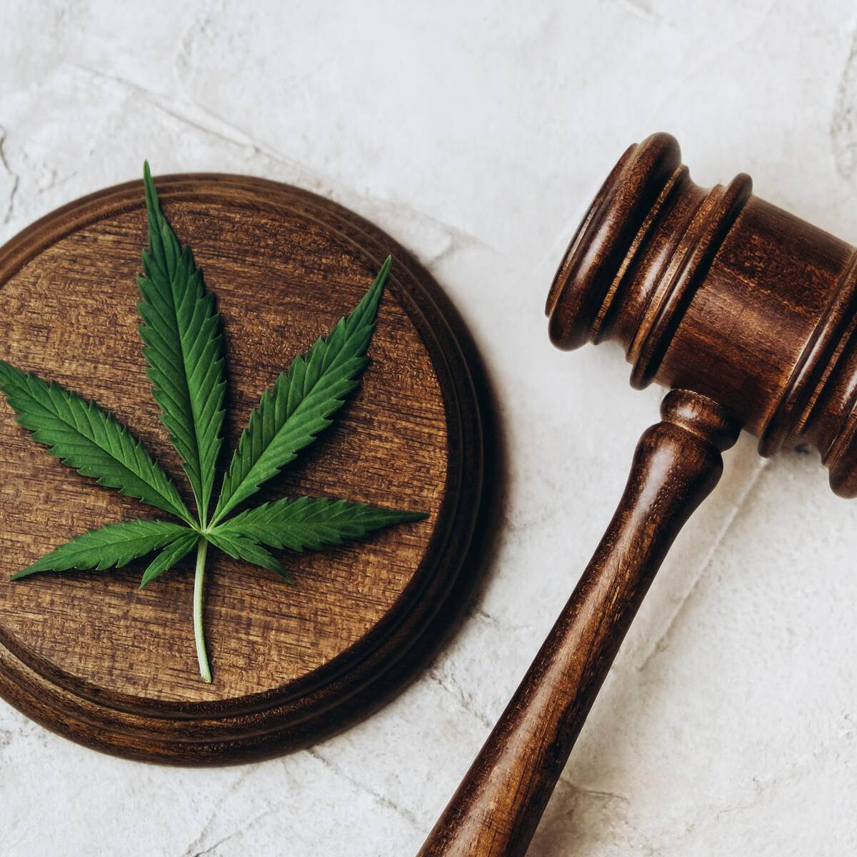 Avanza reforma para regular cannabis de uso adulto: fue aprobada en tercer debate