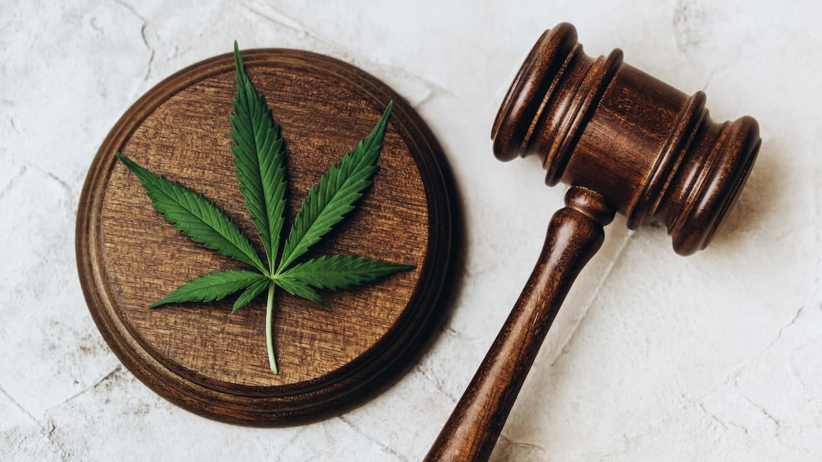 Reforma que regula el cannabis de uso adulto supera el segundo de ocho debates