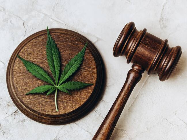 Cannabis imagen de referencia. Foto: Getty Images.