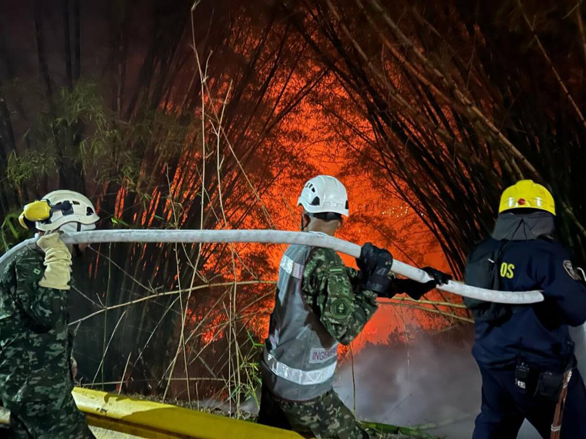 Siguen sin poder controlar incendio en Floridablanca, Santander