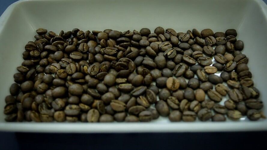 Preocupación en los cafeteros por la reciente caída en la producción del grano para abril. Foto: Colprensa