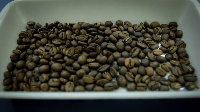 Preocupación en los cafeteros por la reciente caída en la producción del grano para abril. Foto: Colprensa