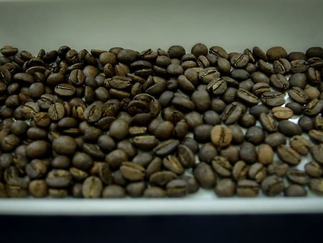 Preocupación en los cafeteros por la reciente caída en la producción del grano para abril. Foto: Colprensa