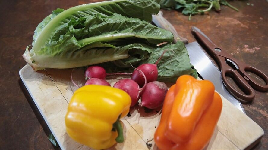 El Centro para el Control de las Enfermedades emite una alerta para que nadie consuma Lechuga Romana.. Foto: Getty Images
