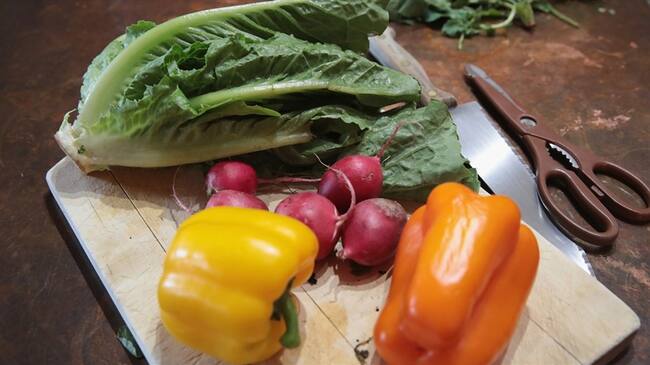 El Centro para el Control de las Enfermedades emite una alerta para que nadie consuma Lechuga Romana.. Foto: Getty Images