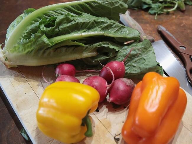 El Centro para el Control de las Enfermedades emite una alerta para que nadie consuma Lechuga Romana.. Foto: Getty Images