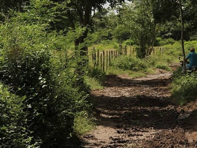 Gobierno es optimista para que indígenas vuelvan a consulta previa sobre ley de tierras. Foto: Colprensa