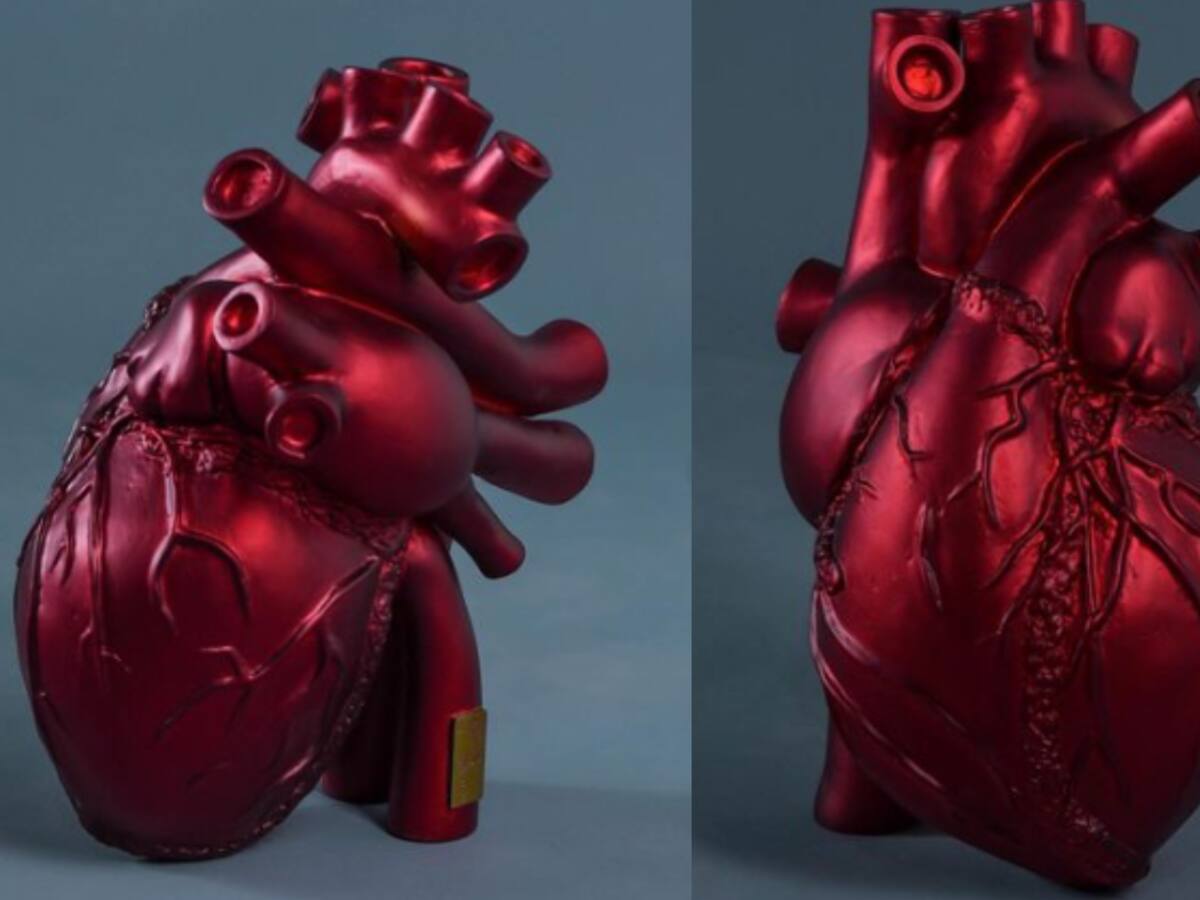 Manuela Echeverri, la artista plástica detrás de los corazones de ‘Pálpito’