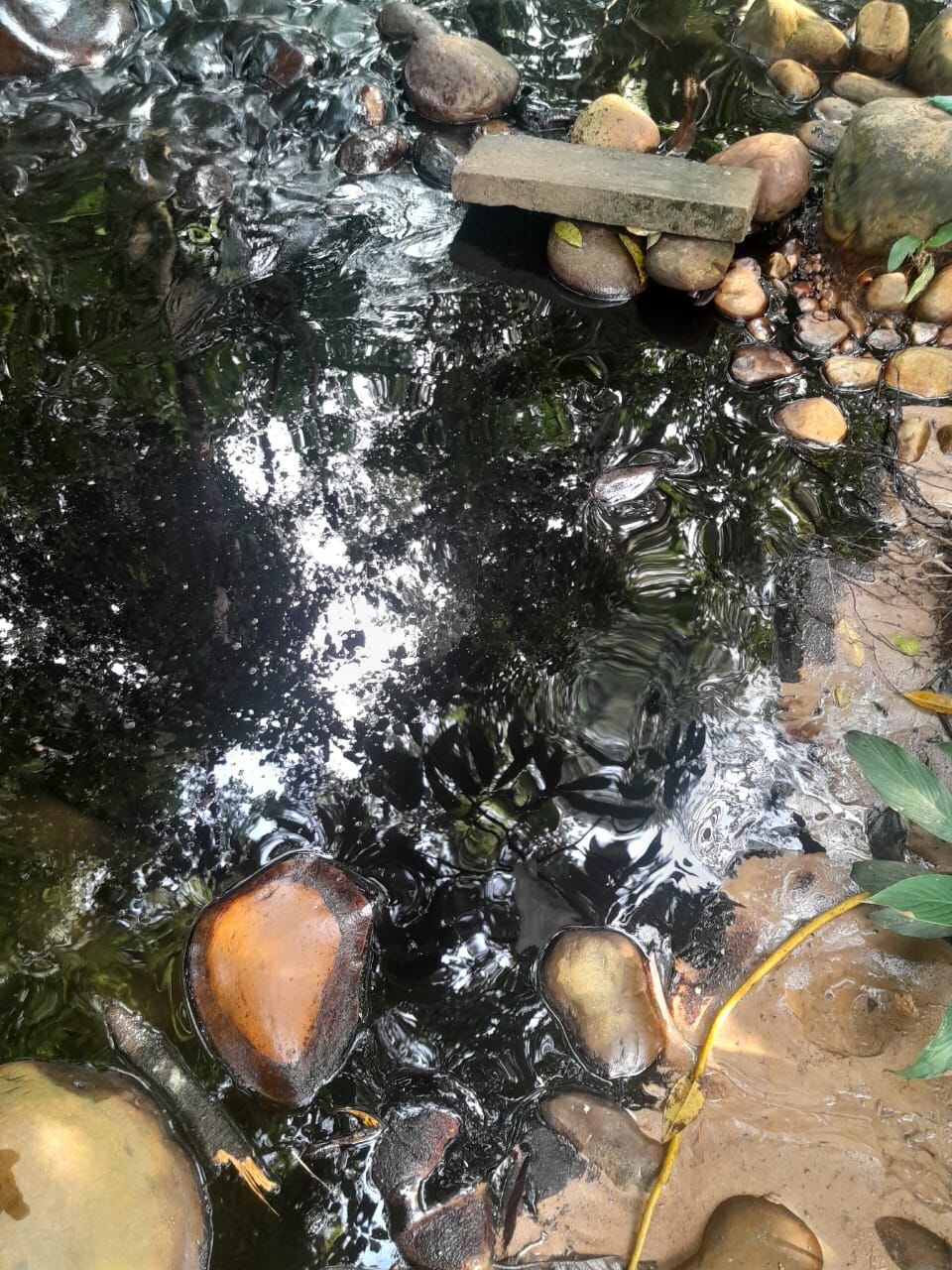 Derrame de crudo por atentado al oleoducto Caño Limón Coveñas. / Foto: Archivo.