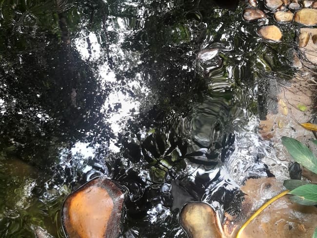 Derrame de crudo por atentado al oleoducto Caño Limón Coveñas. / Foto: Archivo.