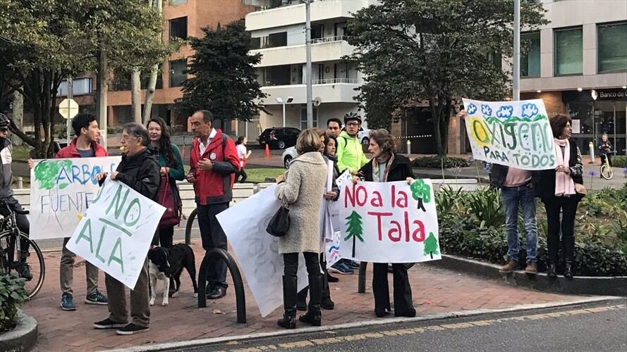 La Procuraduría pidió al alcalde de Bogotá, Enrique Peñalosa, que suspenda de inmediato la tala de árboles en el Parque Japón. Foto: En Twitter @CarlosCarrilloA