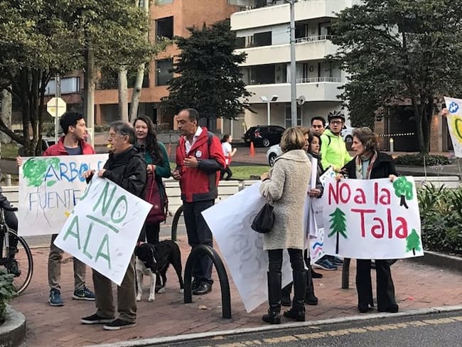 La Procuraduría pidió al alcalde de Bogotá, Enrique Peñalosa, que suspenda de inmediato la tala de árboles en el Parque Japón. Foto: En Twitter @CarlosCarrilloA