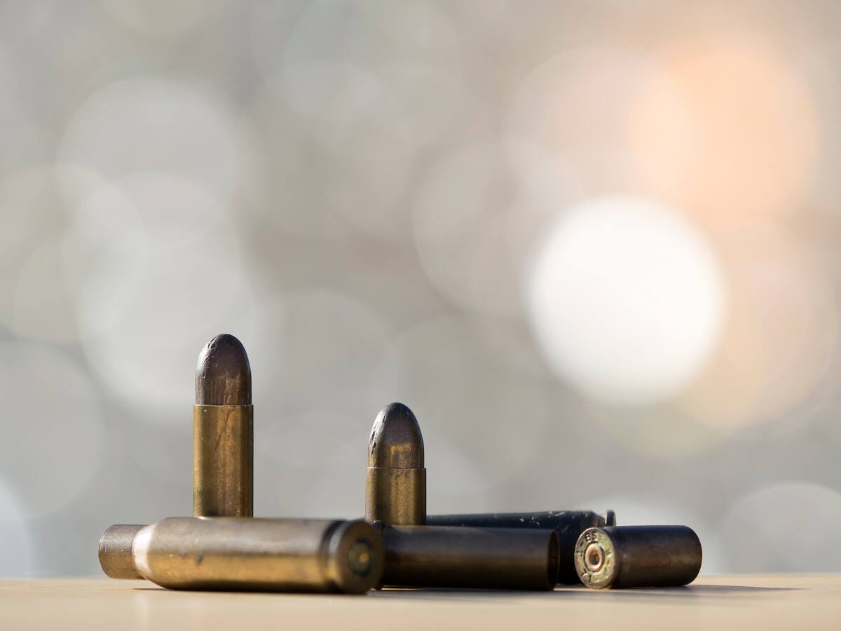 Militares venezolanos desactivaron 14 explosivos en la frontera con Colombia