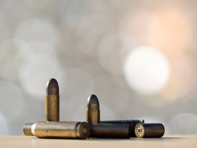 Militares venezolanos desactivaron 14 explosivos en la frontera con Colombia