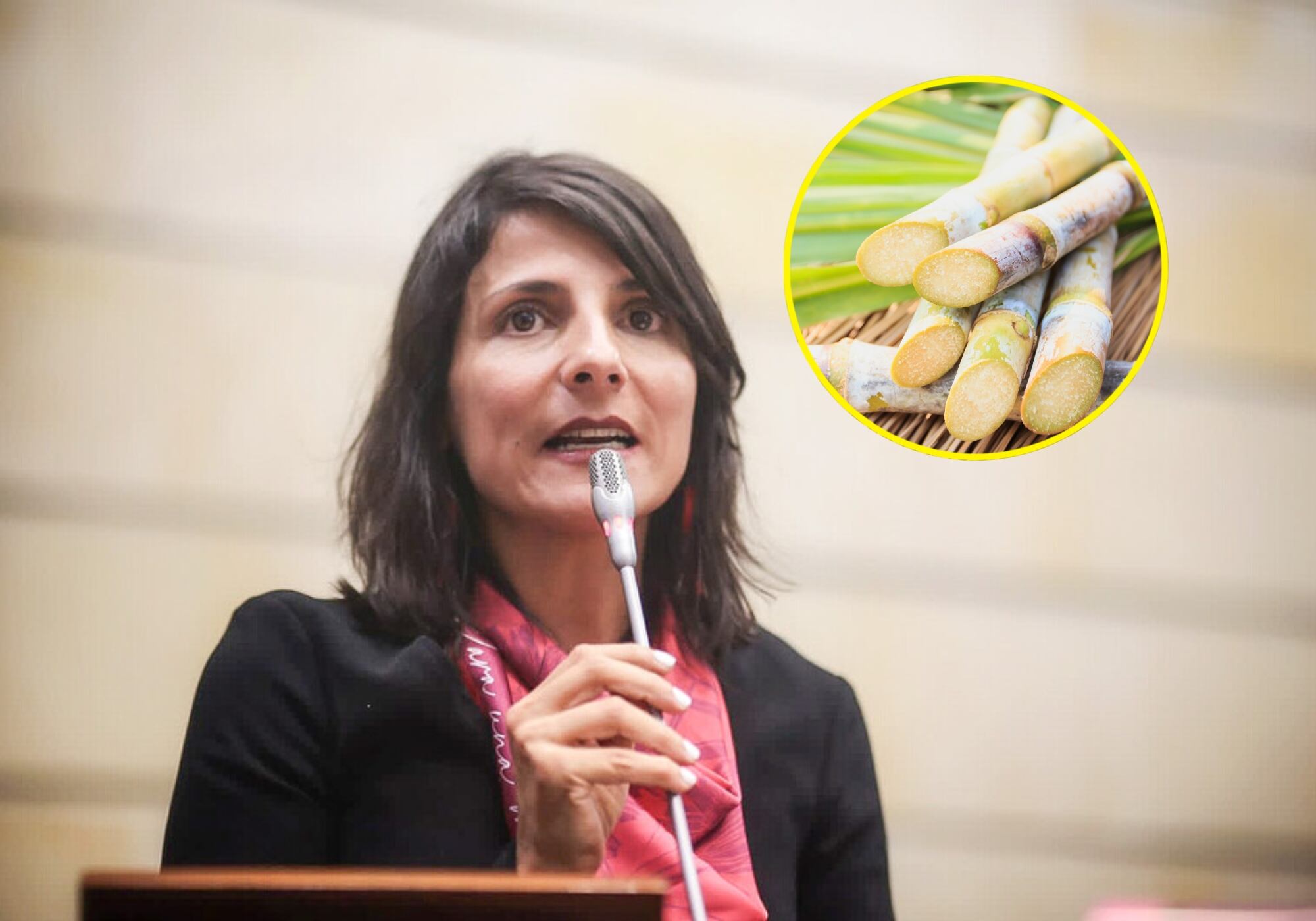 Voces de rechazo del sector agroindustrial de la caña a declaraciones de Irene Vélez, ministra de Ambiente. Foto: Colprensa/ PhanuwatNandee