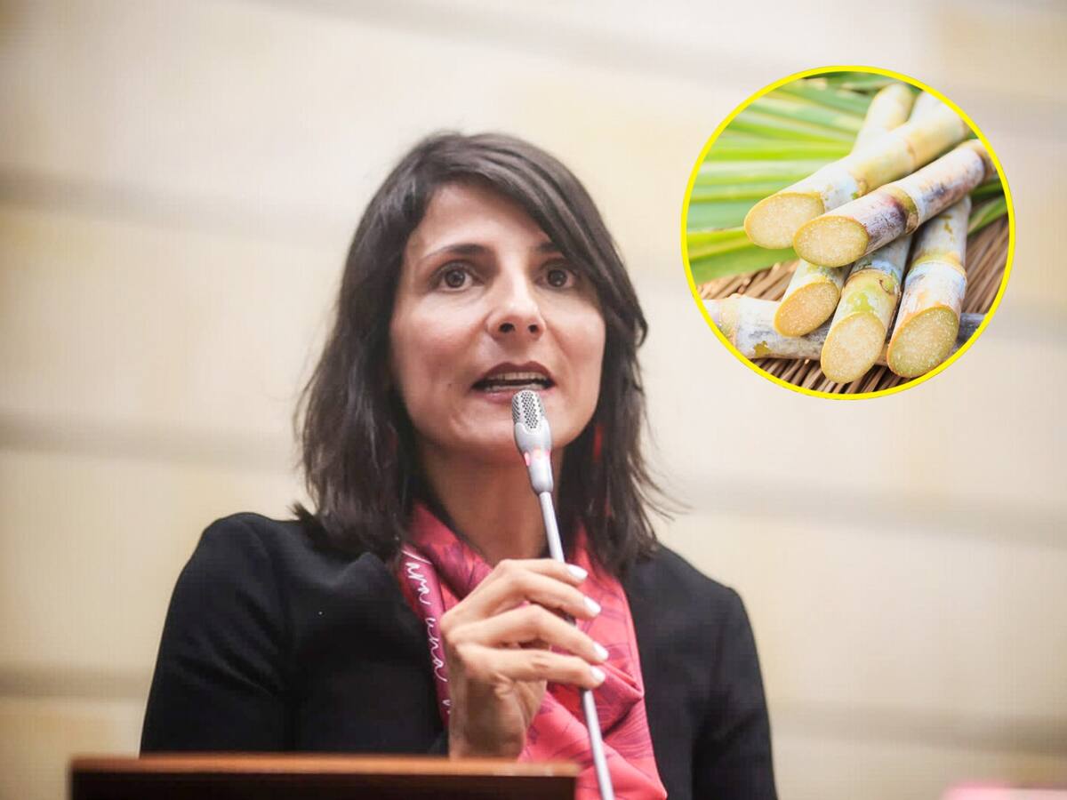 Voces de rechazo del sector agroindustrial de la caña a declaraciones de MinAmbiente