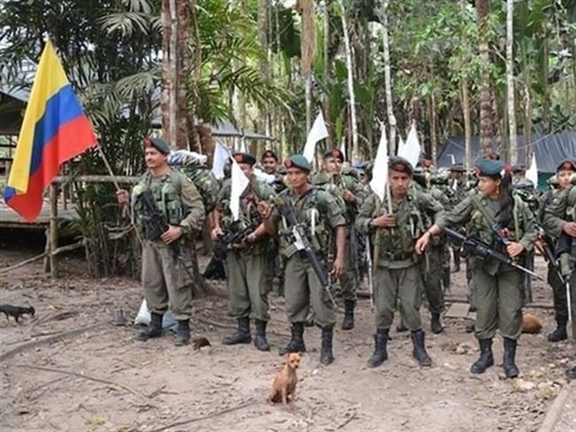 117 milicianos de las Farc se entregaron a las autoridades en Nariño. Foto: Colprensa