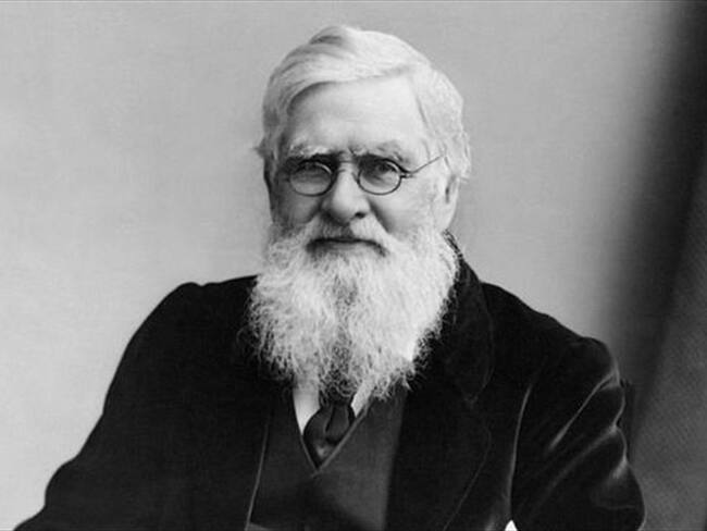Wallace y Darwin compartieron la gloria al principio. Pero luego el mundo olvidó a Wallace.. Foto: BBC Mundo