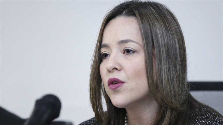 viceministra de Comercio Exterior, Laura Valdivieso. Foto: Colprensa