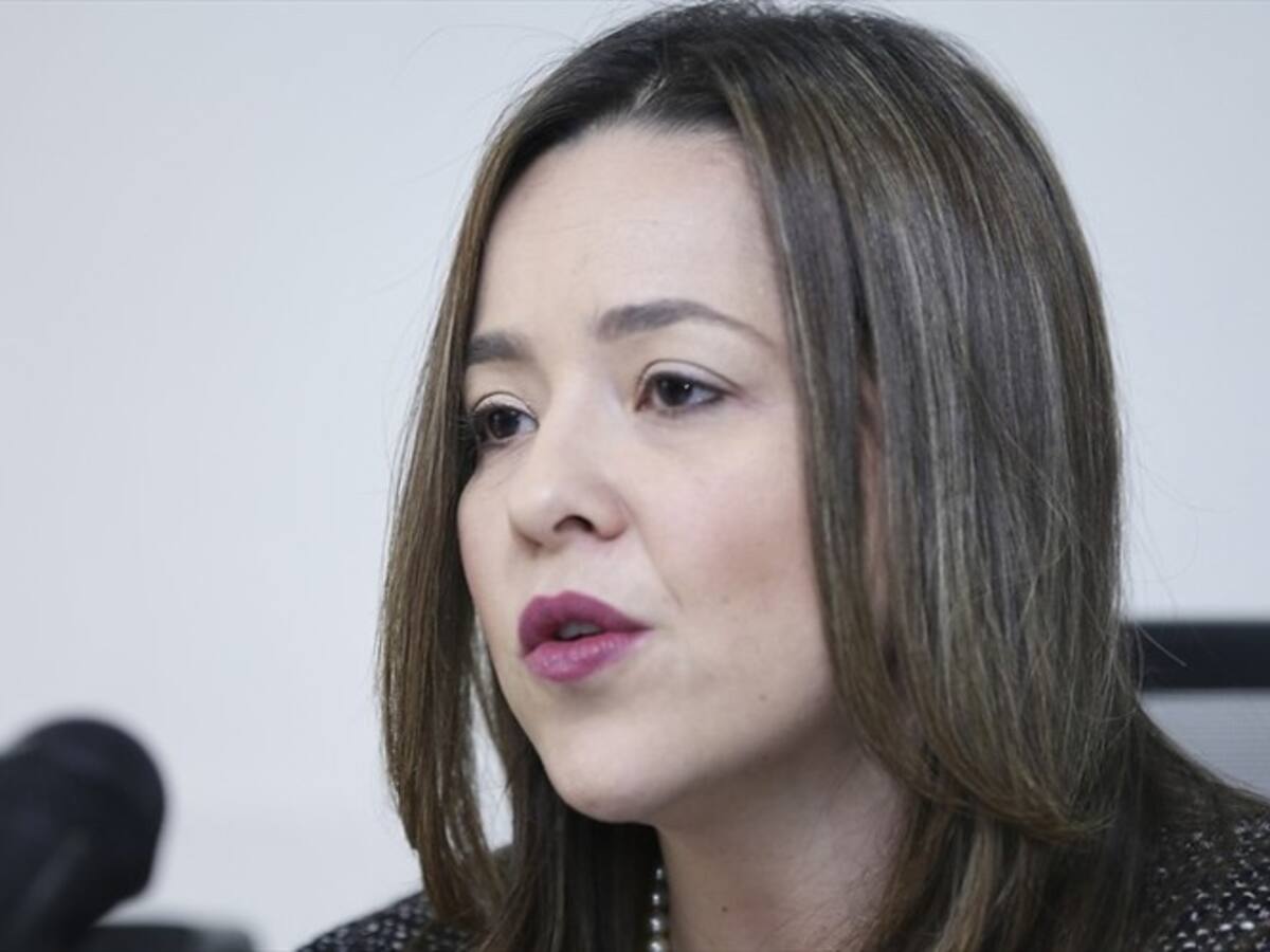 Mincomercio presentó régimen de megainversiones a empresarios de América Latina