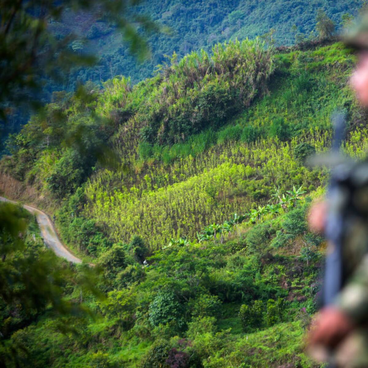 Ejército prestó primeros auxilios a presuntos integrantes del Clan del Golfo en el sur de Bolívar