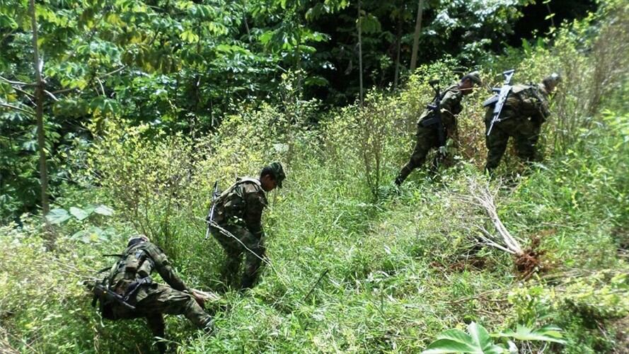 Imagen de referencia. Foto: Colprensa