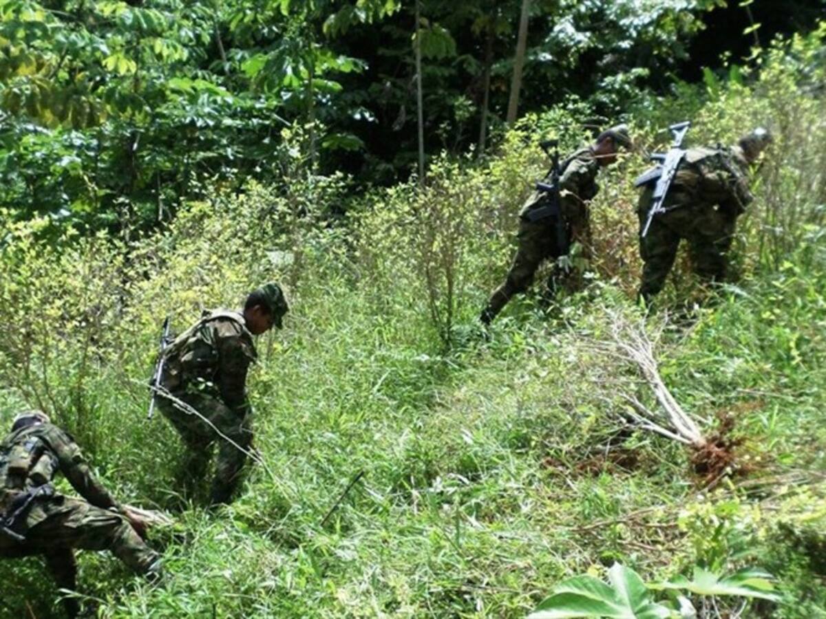 Ejército destruyó depósito ilegal de las disidencias de la Farc en Cauca